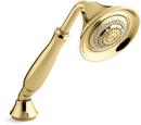 Multi Function Hand Shower in Vibrant Polished Brass