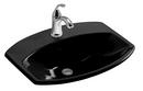 23 x 18-3/16 in. Oval Drop-in Bathroom Sink in Black Black™