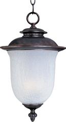 21-1/2 in 26W 1-Light Fluorescent Outdoor Hanging Lantern in Chocolate