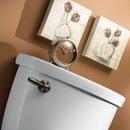 Moen Oil Rubbed Bronze Trip Lever 