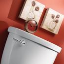 Moen Polished Chrome Trip Lever 