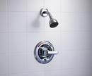 Delta Faucet Chrome Single Handle Multi Function Shower Faucet (Trim Only) 