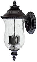 60 W 2-Light Candelabra Coach Lantern in Black