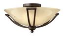 8 in. 2-Light Semi-Flushmount Ceiling Light in Olde Bronze