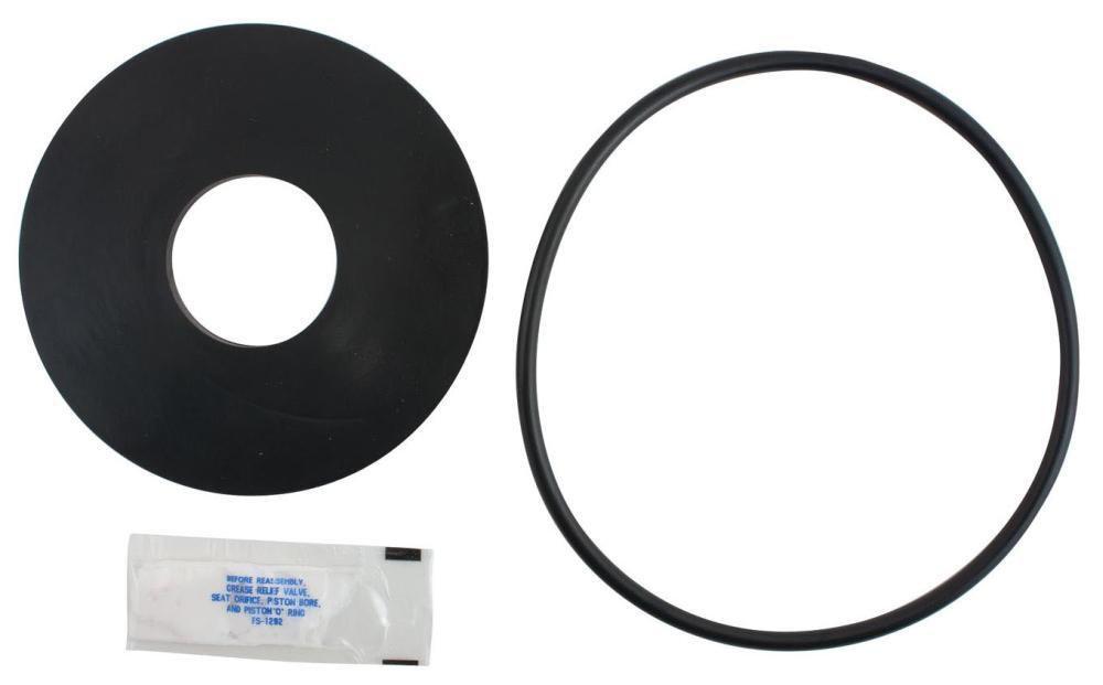 Watts Check Rubber Valve Repair Kit 
