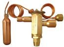 3 Tons R-22 Thermal Expansion Valve