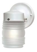 8-1/2 x 4 in. 60W 1-Light Outdoor Wall Light in Gloss White