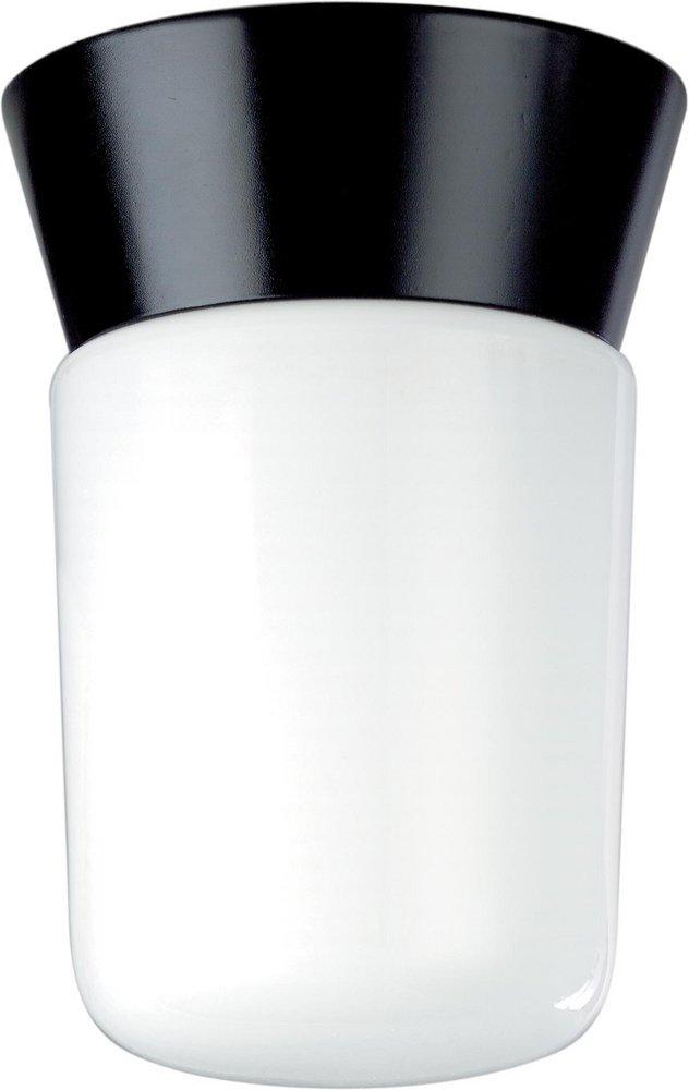 NUVO Black 1-Light Outdoor Ceiling Light 