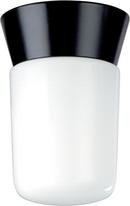 NUVO Black 1-Light Outdoor Ceiling Light 