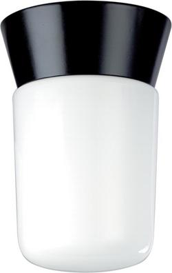 1-Light Outdoor Ceiling Light in White and Black