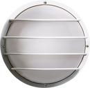 10 in. 60W Outdoor Wall Light in White