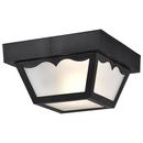 NUVO Black 22 in. 60W 1-Light Flush Mount Ceiling Light 