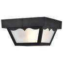 NUVO Black 22 in. 60W 1-Light Flush Mount Ceiling Light 