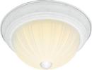 NUVO Textured White 13 in. 2-Light Flush Mount Ceiling Light 