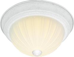 13 in. 2-Light Flush Mount Ceiling Light in Textured White