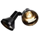 NUVO Black 150 W 2 Light Incandescent Flood Light 