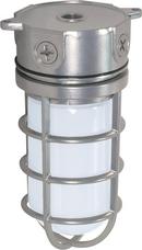NUVO Metallic Silver 100 W 1-Light Flush Mount Ceiling Fixture 