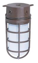 NUVO Old Bronze 100 W 1-Light Flush Mount Ceiling Fixture 