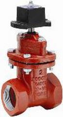 2 in. Threaded Cast Iron 1 piece Resilient Wedge Gate Valve