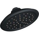 Single Function Showerhead in Wrought Iron