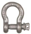 1 in. Screw Pin Anchor Shackle