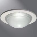 HALO White 1-Light Shower Trim in White 