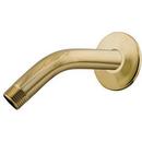 Shower Arm & Flange Polished Brass