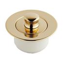 Signature Hardware Polished Brass Lift & Turn Drain 