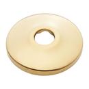 Signature Hardware Polished Brass - PVD 5/8 in. Stainless Steel Shallow Box Escutcheon 