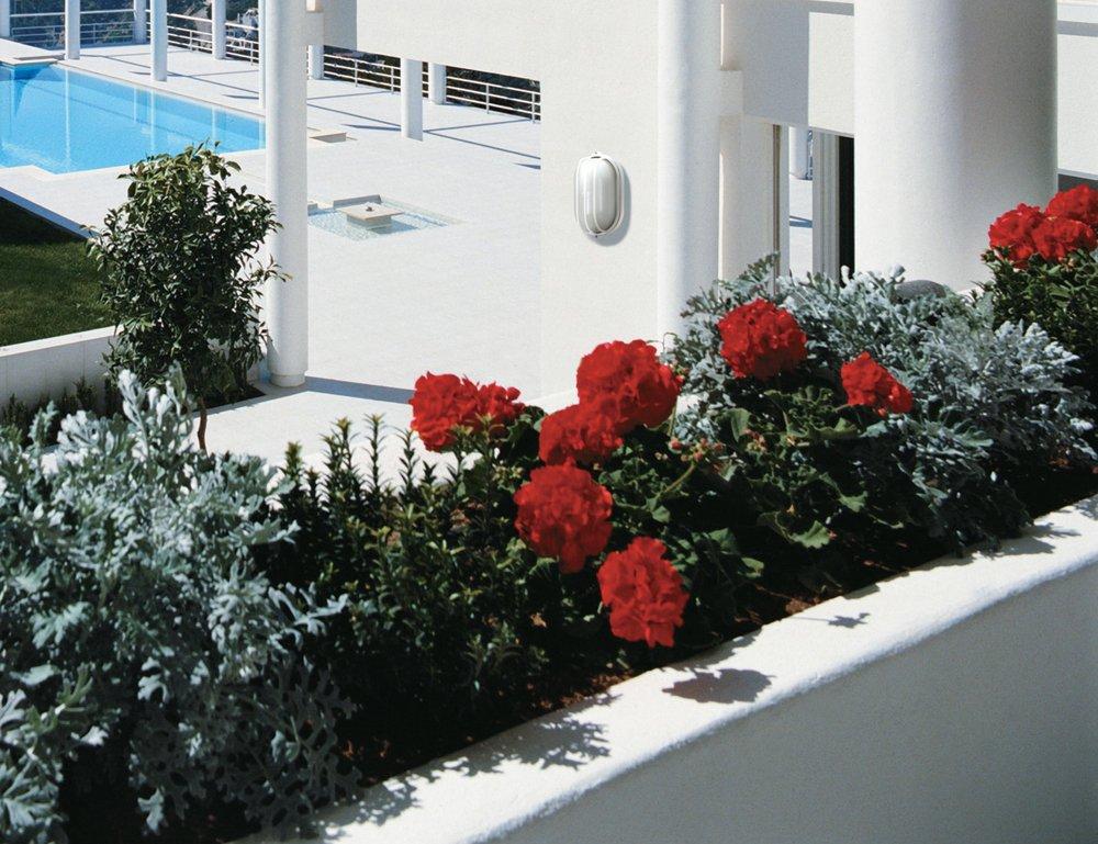 NUVO Semi Gloss White 60W 1-Light Oval Caged Die Cast Bulkhead Light with Glass Lens 