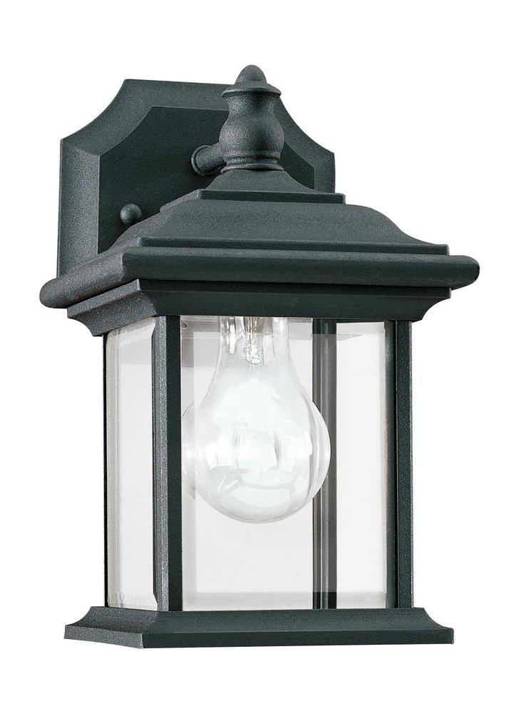 Visual Comfort & Co. Generation Lighting Black 100W 1-Light Medium E-26 Incandescent Outdoor Wall Sconce 