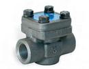 DSI Forum Energy Technologies Threaded Forged Steel Check Valve 
