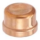 Viega Copper Press Cap 