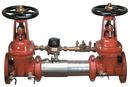 Watts Stainless Steel Stainless Steel Flanged 175 psi Backflow Preventer 
