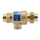 Watts Iron Brass Union FNPT Backflow Preventer 