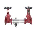 Watts Stainless Steel Stainless Steel Flanged Backflow Preventer 