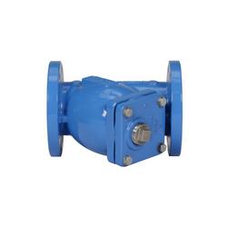 2 x 2 in. Cast Iron Flanged Strainer