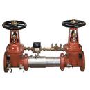 Watts Stainless Steel Stainless Steel Flanged Backflow Preventer 