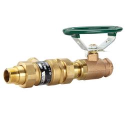FNPT Brass 3/4 in. BFP Vacuum Breaker