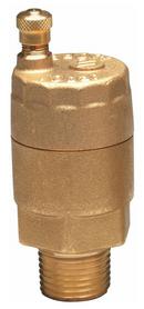 Watts 150 # Automatic Vent Valve 