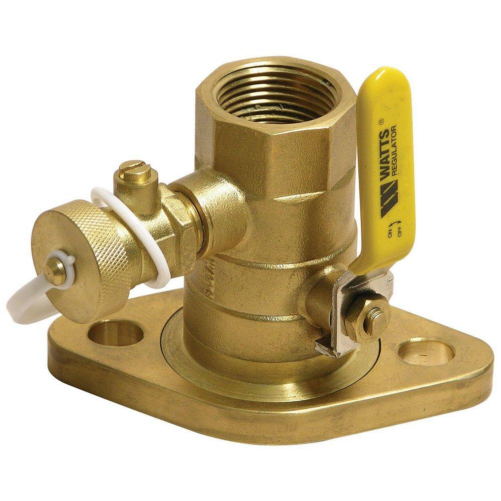Watts Brass Brass NPT Purge Port Ball Valve 