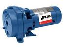 Goulds Water Technology 21 in. Deep Convertible Jet Pump 