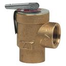 3/4 in. Brass Female 30# 250 Relief Valve