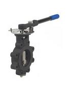 2-1/2 in. Carbon Steel RPTFE Lever Handle Butterfly Valve