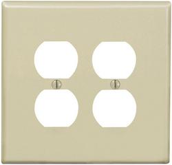 2 Gang Thermoplastic Nylon Wall Plate in Ivory