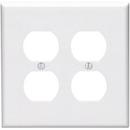 2 Gang Thermoplastic Nylon Wall Plate in White