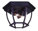 Acclaim Lighting Matte Black 60 W 3-Light Outdoor Flush Mount Ceiling Fixture Light 