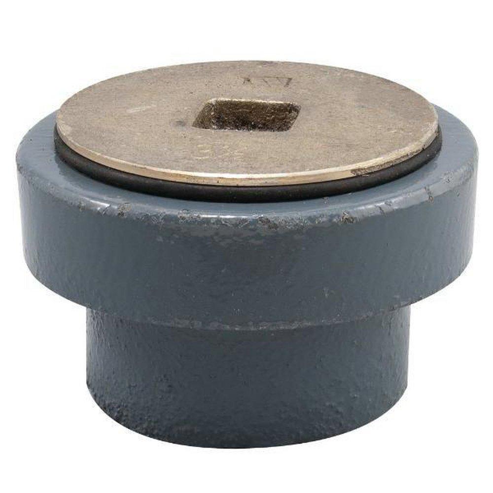 Watts No Hub Cast Iron Cleanout 