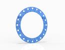Garlock Blue Full Face Gasket 