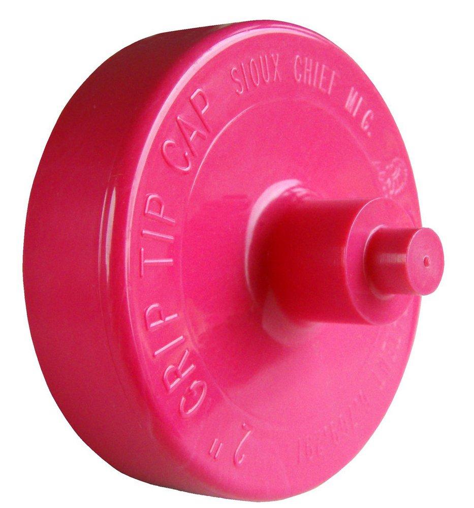 Sioux Chief Magenta Magenta ABS DWV Test Cap 